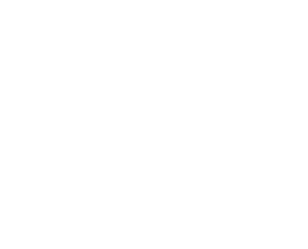 Concept Model EON